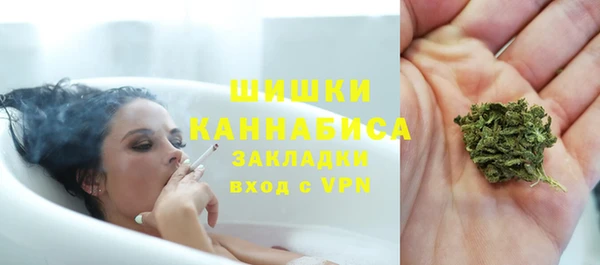 дмт Кодинск